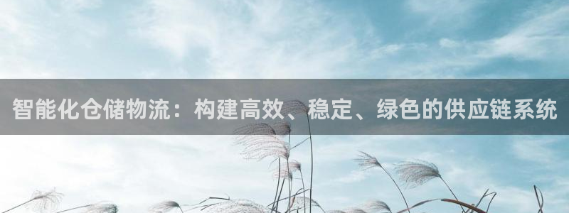 旺财28aPP退款：智能化仓储物流：