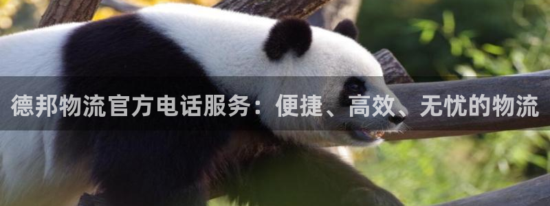 旺财28玩法：德邦物流官方电话服务：