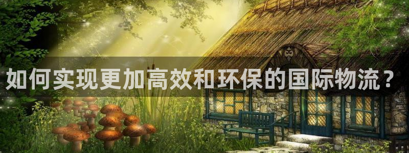 旺财28加拿大28：如何实现更加高效