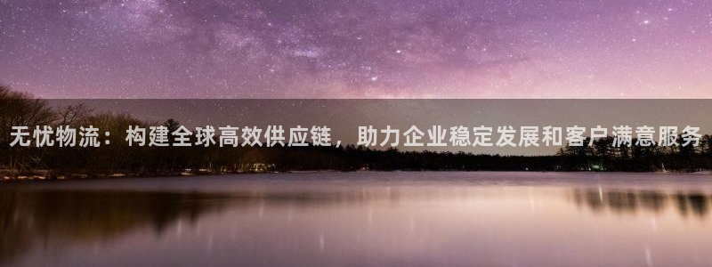 麻将1旺财28：无忧物流：构建全球高