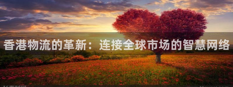 旺财28注册网页版：香港物流的革新：