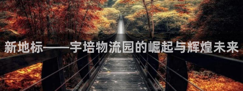 旺财28是什么是赌博吗?：新地标——