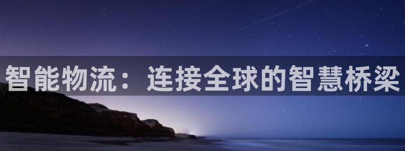 旺财28口：智能物流：连接全球的智慧