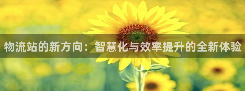 南宫旺财28怎么注册：物流站的新方向