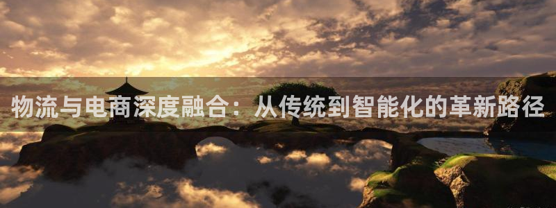 旺财28链接多少：物流与电商深度融合