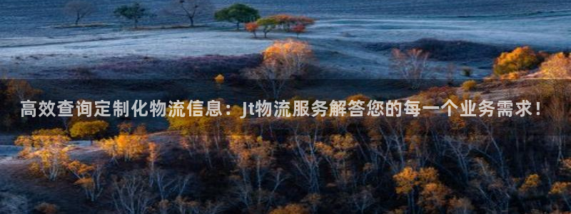 旺财28客服一直不回消息怎么办：高效