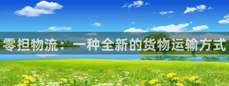 旺财28账号注册：零担物流：一种全新