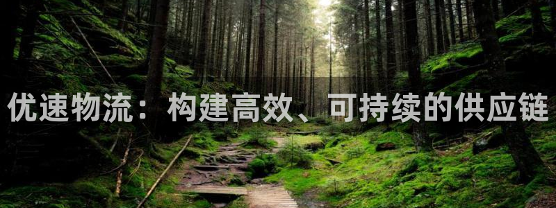 旺财28加拿大是什么意思：优速物流：