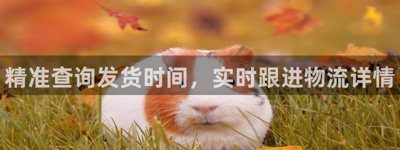 旺财28游戏官网入口：精准查询发货时间，实时跟进物流详情