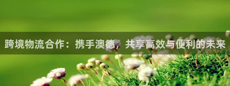 旺财28登录网：跨境物流合作：携手澳