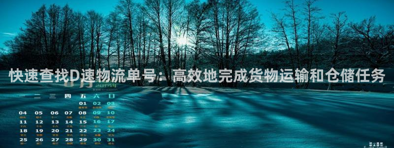 旺财28充值不处理：快速查找D速物流单号：高效地完成货物运输