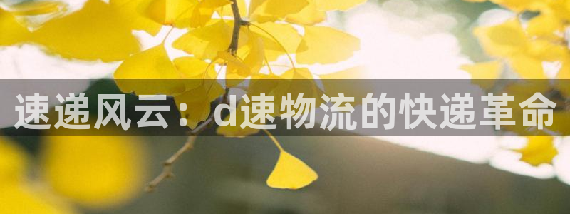 麻将1旺财28