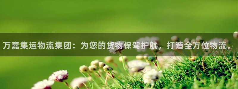 旺财28加拿大技巧：万嘉集运物流集团