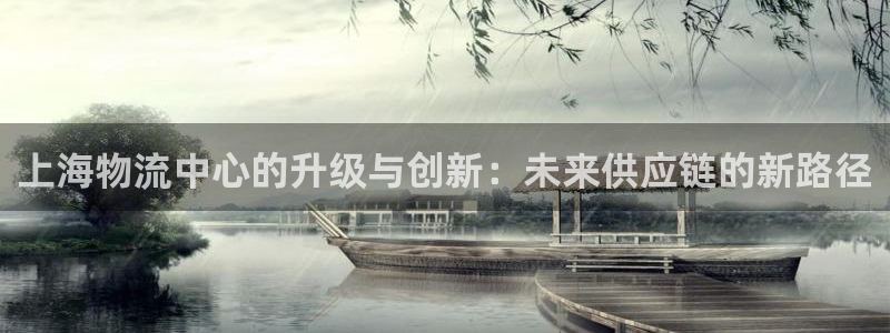 旺财28注册送：上海物流中心的升级与