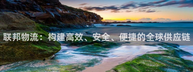 旺财28平台注册：联邦物流：构建高效