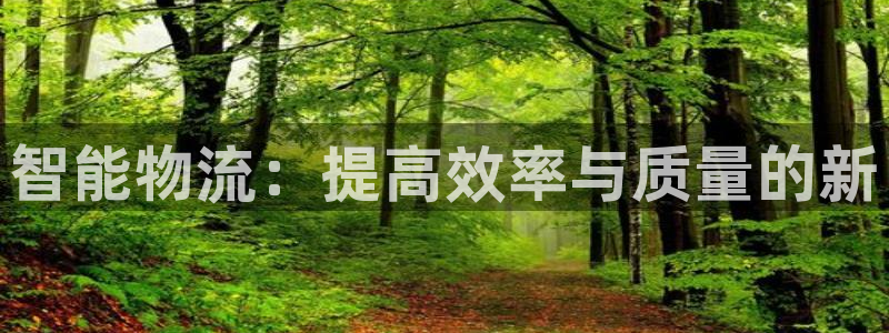 旺财28百度百科:智能物流:提高效率