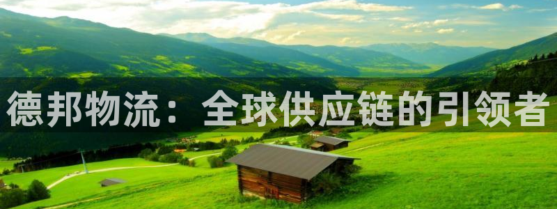 旺财28流水怎么算:德邦物流:全球供