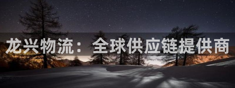 旺财28初始资金密码是什么：龙兴物流