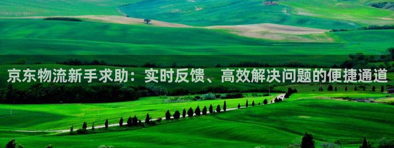 旺财28cn：京东物流新手求助：实时