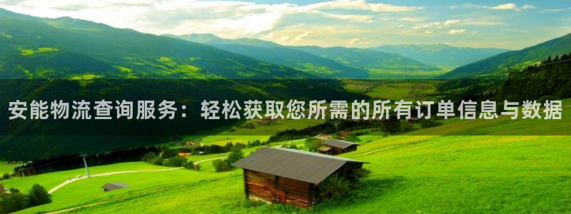 旺财28防失联网址：安能物流查询服务