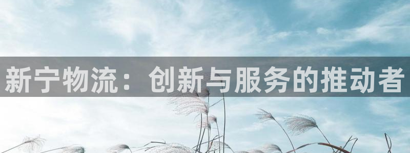 旺财28怎么申请代理：新宁物流：创新与服务的推动者