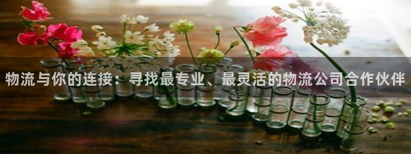 旺财28pg如何退钱