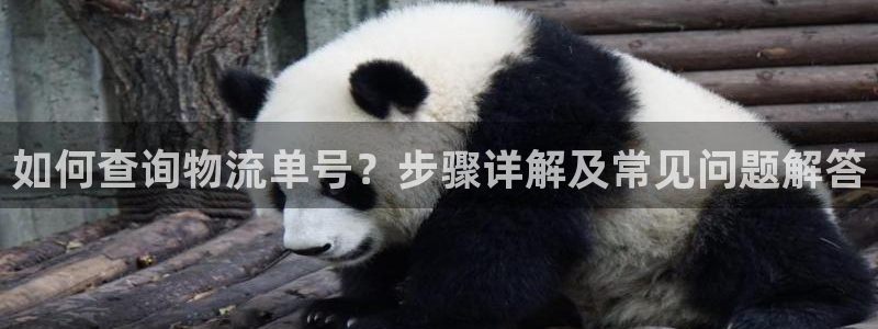 旺财28在线预测